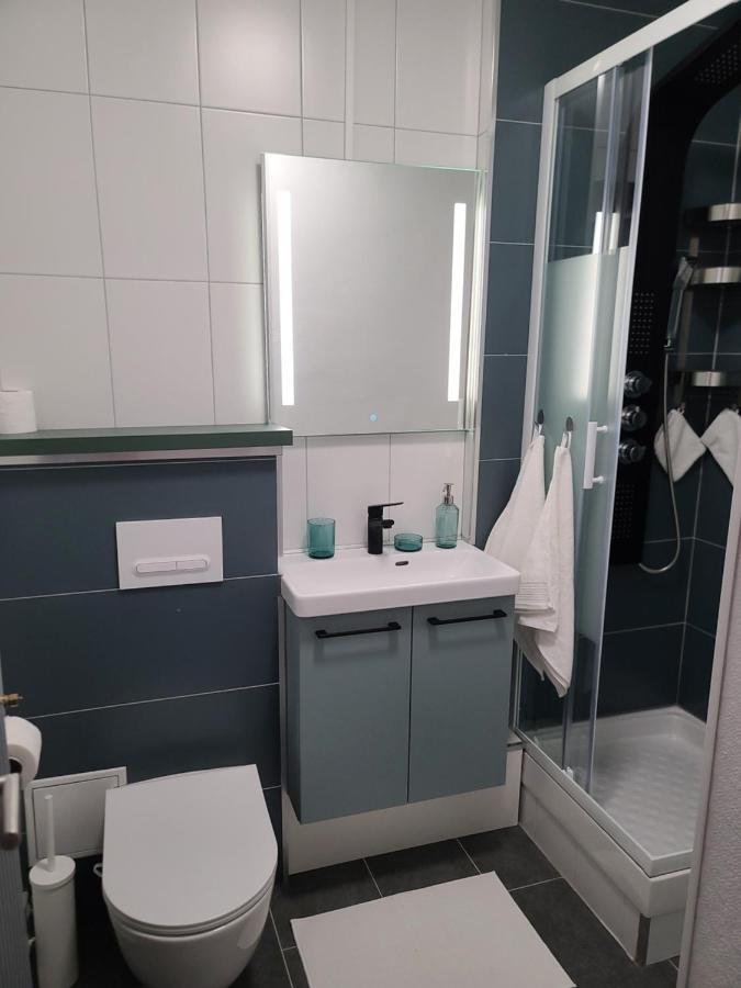 Magnifique Studio 26M2 Belfort Exterior foto