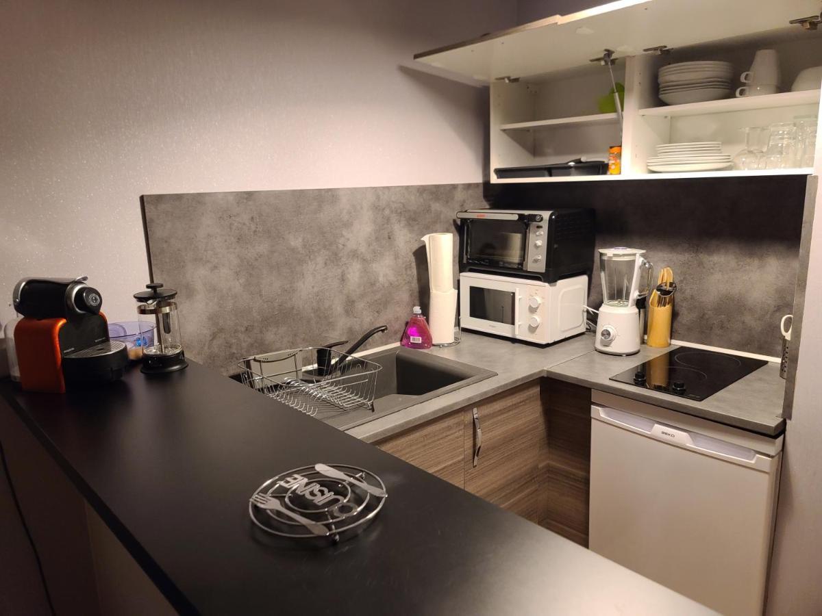 Magnifique Studio 26M2 Belfort Exterior foto
